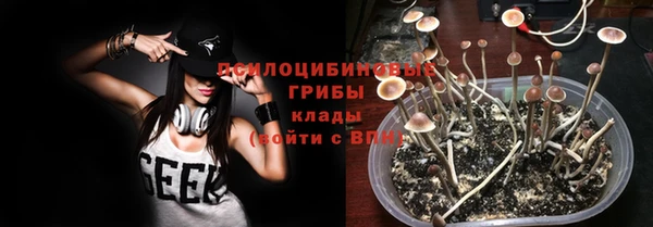 spice Алзамай