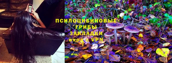 spice Алзамай